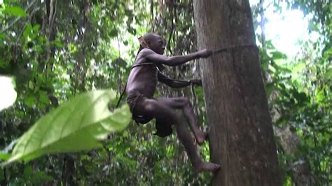 african jungle porn|African Jungle Fuck Porn Videos .